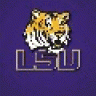 LSUfanatic