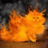 TexasKittie