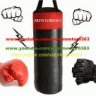 mentor6363