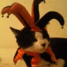CatFromOK