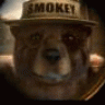 Bearscout