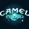 Camel Crush