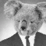 CausticPanda