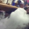 guppygooch