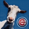 MichiganGoat