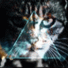 Cat Illuminati