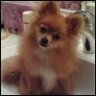 Frank_147