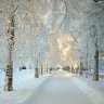 Hope~In~HIM
