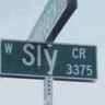 SLY1