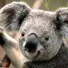 RubyWP
