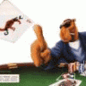 joe_camel