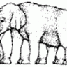 limboman
