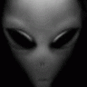 Sheldonk