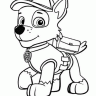 DTSilver