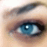shellym