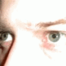 FeralGeek