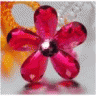 jewelly