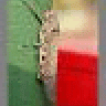 DCRgbg