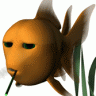 CrankyGoldfish