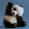 Wakefulpanda