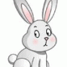 nobunnynose