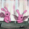 white_rabbit