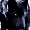 BlueDogs