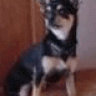 KinLEE