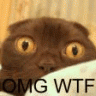 OMG
