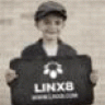 Linx8