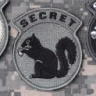 secretsquirrl