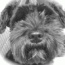 rathie