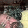 uxojoe