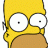 Homer
