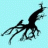 Squid & Crow