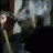 asraf8