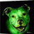 greendogz