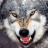 Darkwolf