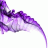 PurplePuffs