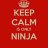 Bad Ninja