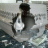 Crazy Birdy Mom