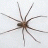 House of Recluse