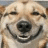 Okio