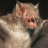 BadBat
