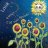 chinacatsunflower-