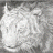 vaportiger