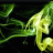 greeneon