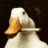 Quack