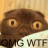 OMG