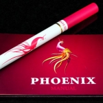 The Phoenix